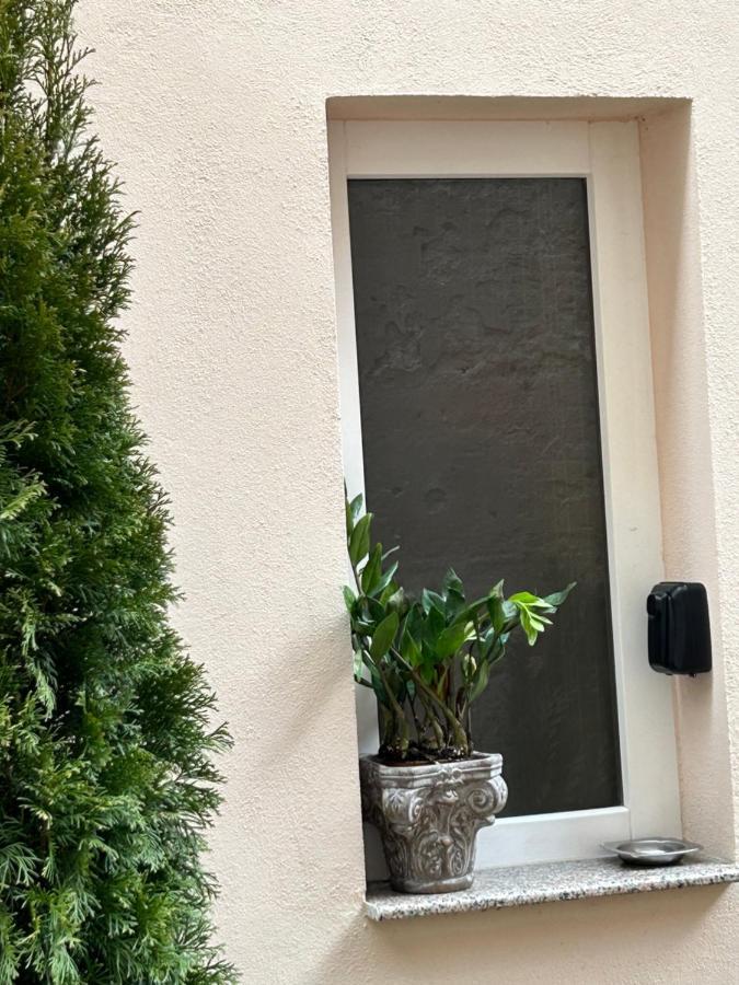 Schillerplatz Apartment Sibiu Eksteriør billede